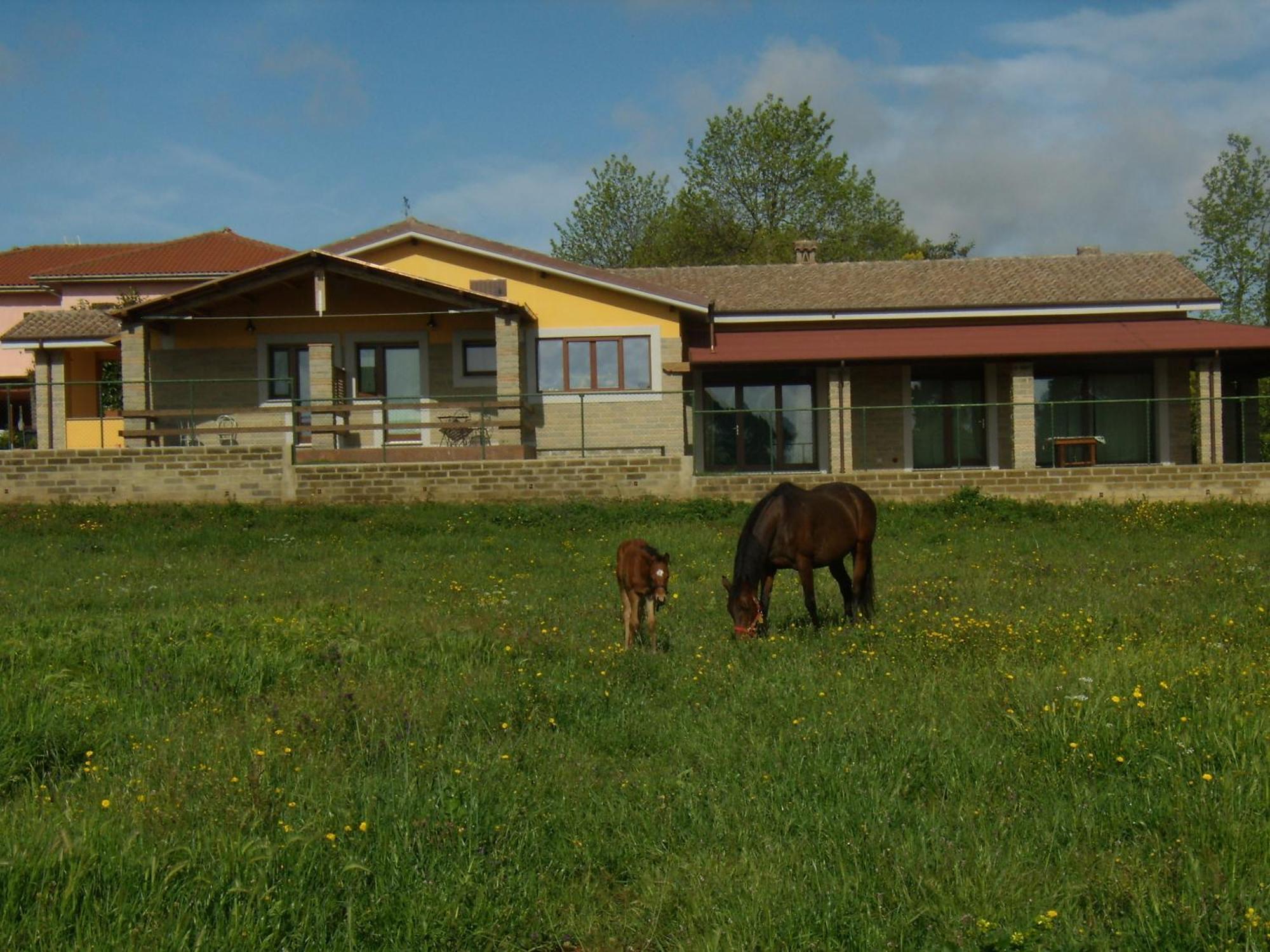 Agriturismo L.B.Stud Bracciano (Rome) Exterior foto
