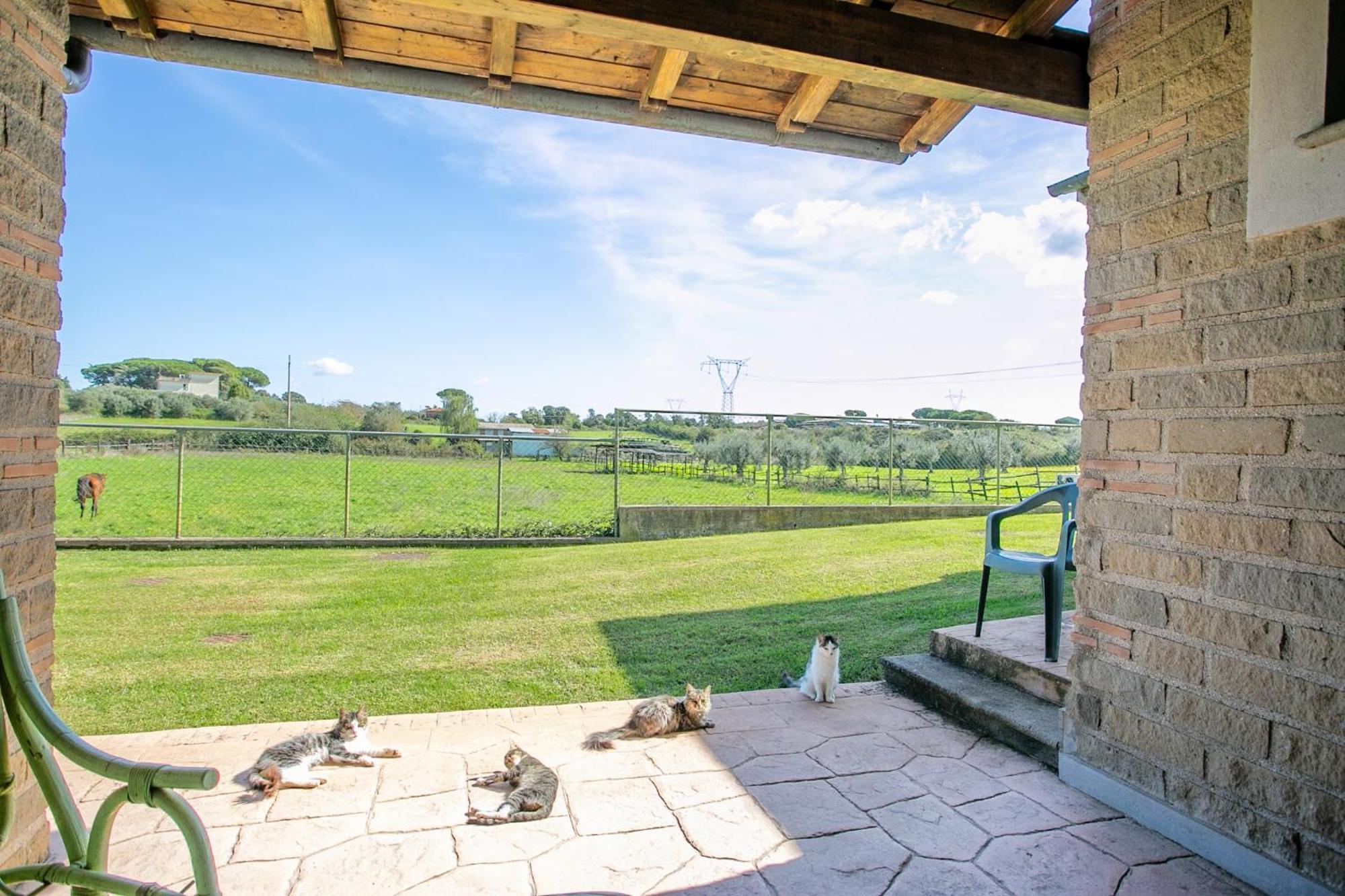 Agriturismo L.B.Stud Bracciano (Rome) Exterior foto