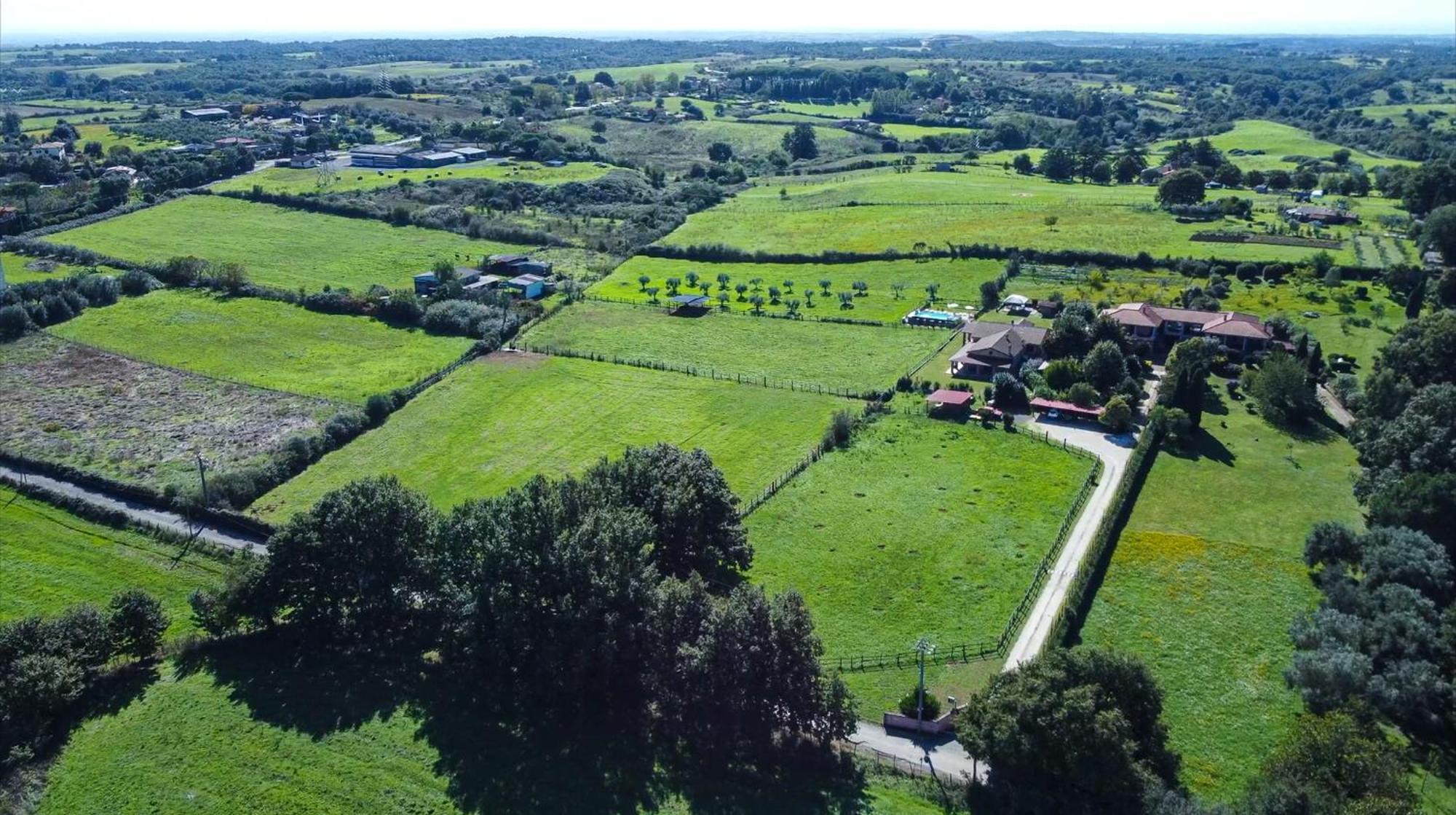 Agriturismo L.B.Stud Bracciano (Rome) Exterior foto